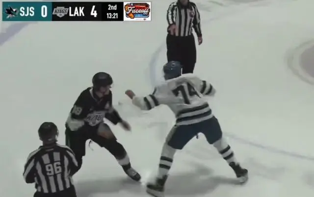 对抗赛鲨鱼 对抗赛鲨鱼