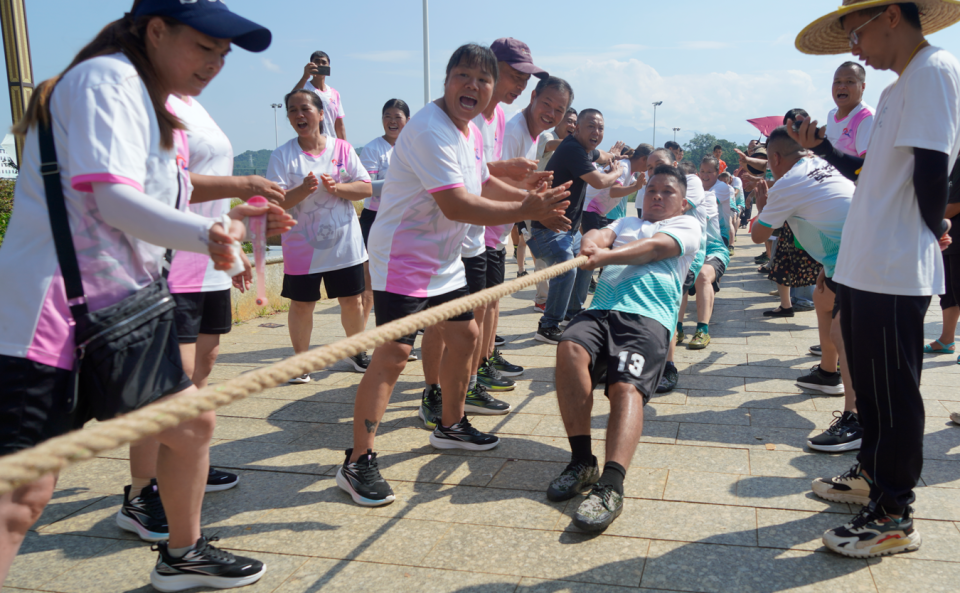 img, cjVNa, 流与凝聚力